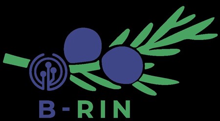 B-RIN-logo-barvni1