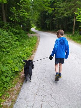 IMG_20250603_094614041