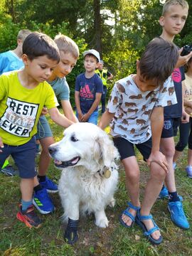 IMG_20250617_165646817