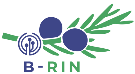 B-RIN-logo
