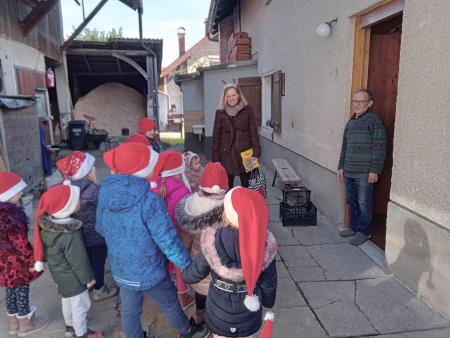 20241219_104432049[1]