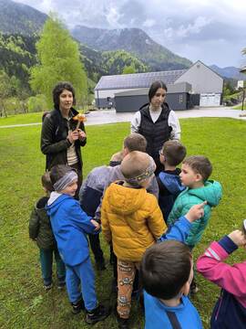 2b971a4f75ef4d541dea6d49d12f2c1c