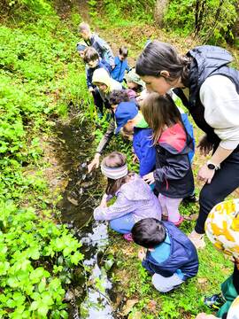 bcd951d1bc417661ff150cbe9fb1c91a