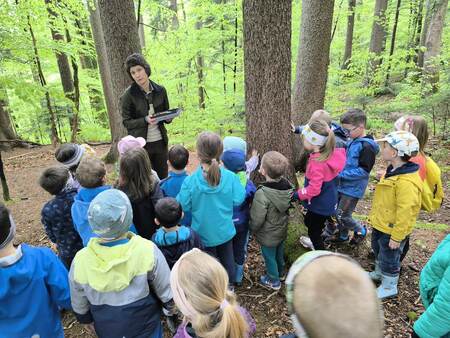 fa61afdfba68e66c23ddc9b001d65f47